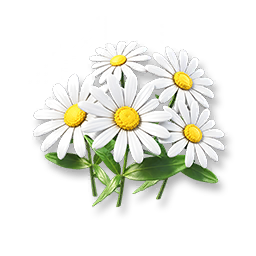 Daisy