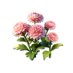 Pink Pom Daisy