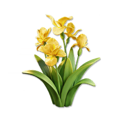 Yellow Iris