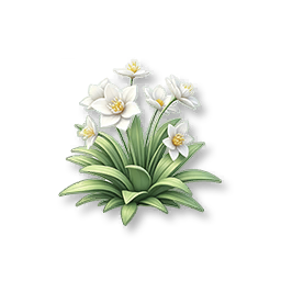 White Lily