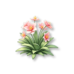 Pink Lily