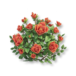 Red Rose
