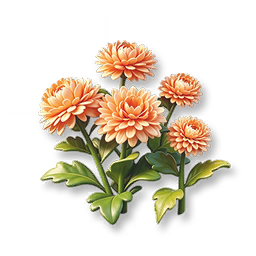 Orange Marigold