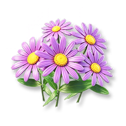 Purple Daisy