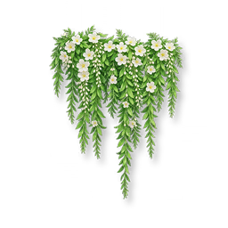 White Flowering Vine