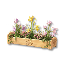 Potted Iris