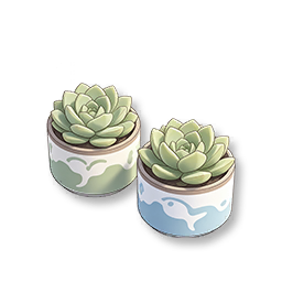 Garden Court - Canned Succulent