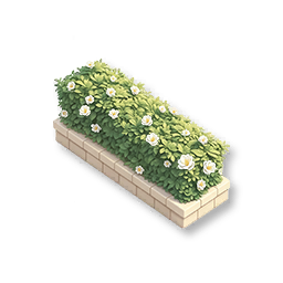 Box Hedge
