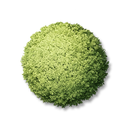 Round Shrubs