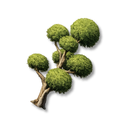 Pom-Pom Tree: II