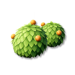 Berry Shrubs