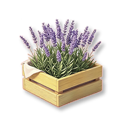 Garden Court - Lavender Nursery