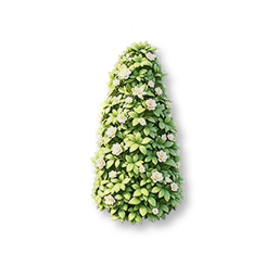 Cone-Shaped Shrub