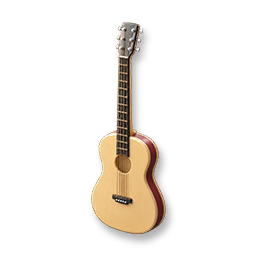 Acoustic Guitar