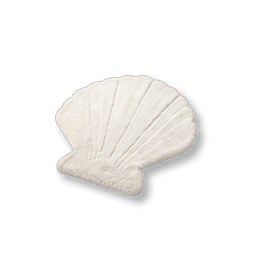 Shell Rug