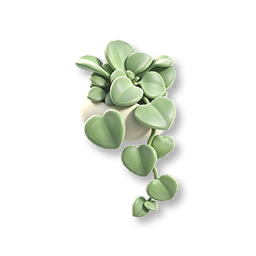 Potted Heartleaf Hoya