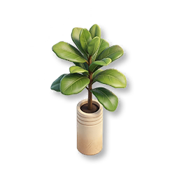 Forest Dawn - Potted Magnolia