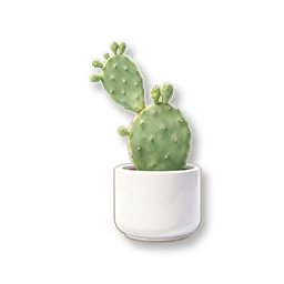 Potted Cactus
