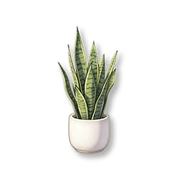 Potted Snake Plant