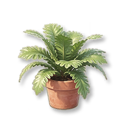 Potted Maidenhair Fern