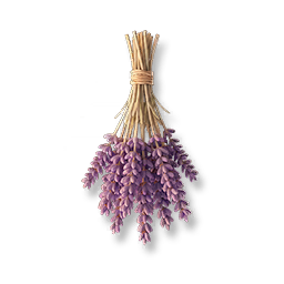 Dried Lavender Bouquet III