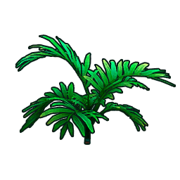 Dense Green Brush