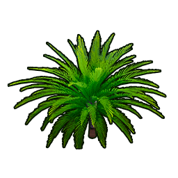 Emerald Thicket
