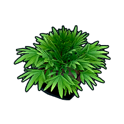 Lush Greenery
