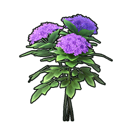 Purple Jade