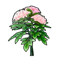 Eternal Spring