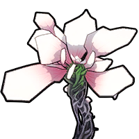 Serenetti