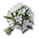 Season's Bouquet Season's Bouquet