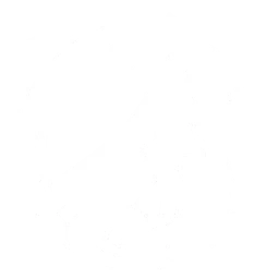 Hidden Blade