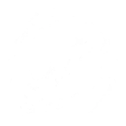 Amputation Saw