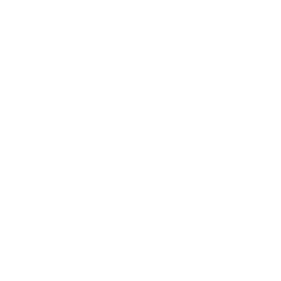 Visage of Death