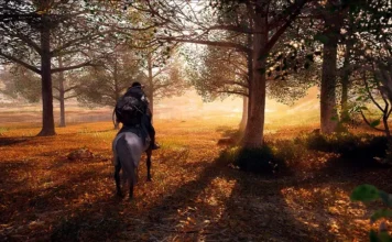 Crimson Desert Multiplayer Guide: Technical Roadmap and Launch Status Analysis